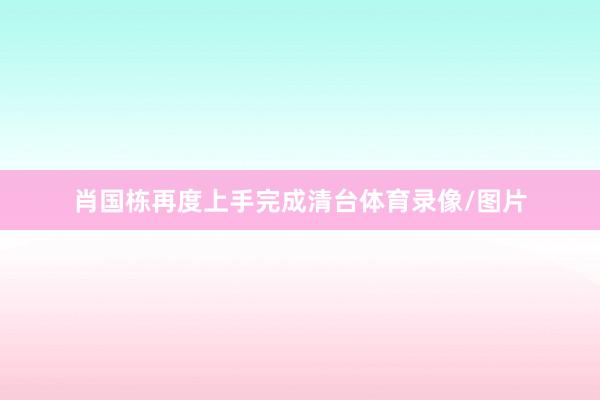 肖国栋再度上手完成清台体育录像/图片