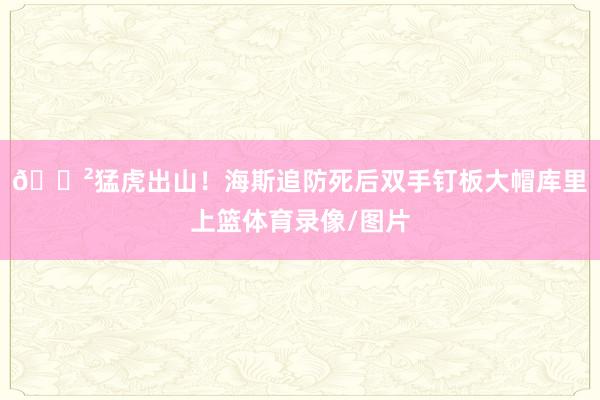 😲猛虎出山！海斯追防死后双手钉板大帽库里上篮体育录像/图片