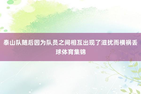 泰山队随后因为队员之间相互出现了滋扰而横祸丢球体育集锦
