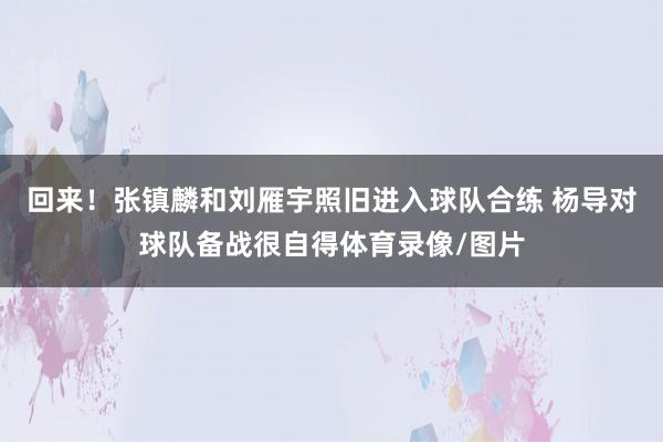 回来！张镇麟和刘雁宇照旧进入球队合练 杨导对球队备战很自得体育录像/图片