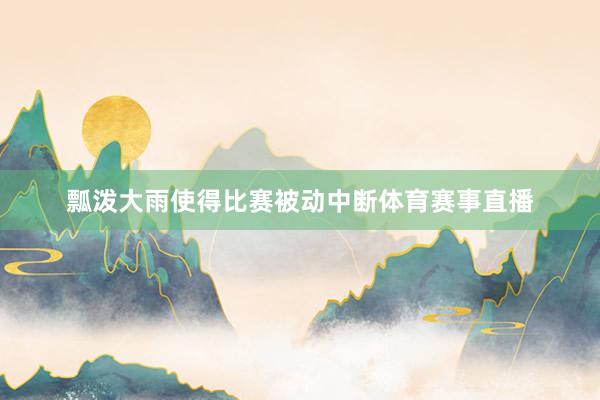 瓢泼大雨使得比赛被动中断体育赛事直播