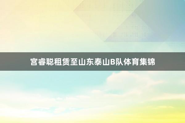 宫睿聪租赁至山东泰山B队体育集锦