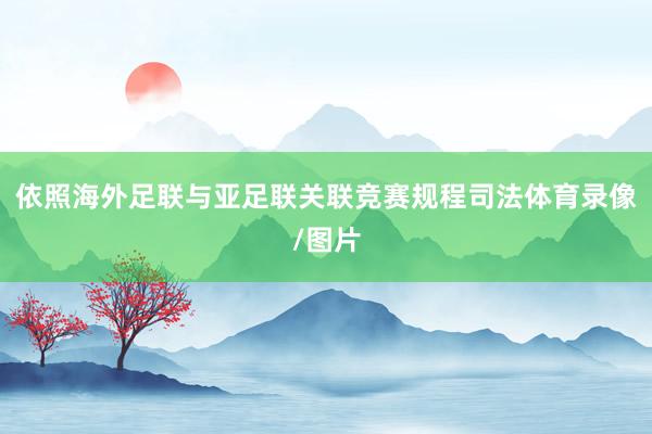 依照海外足联与亚足联关联竞赛规程司法体育录像/图片