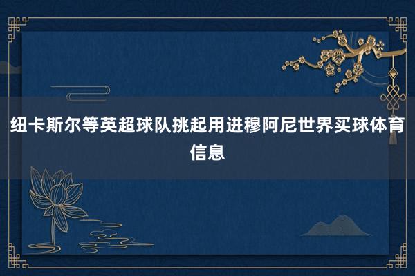 纽卡斯尔等英超球队挑起用进穆阿尼世界买球体育信息