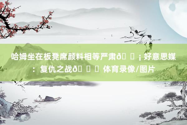 哈姆坐在板凳席颜料相等严肃😡 好意思媒：复仇之战👀体育录像/图片