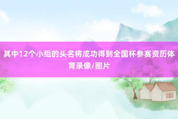 其中12个小组的头名将成功得到全国杯参赛资历体育录像/图片