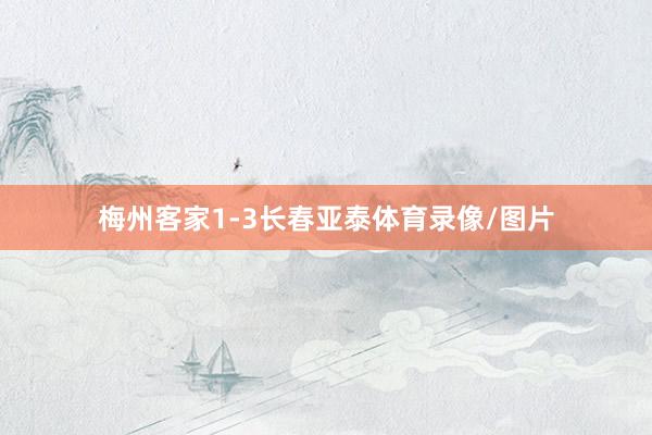 梅州客家1-3长春亚泰体育录像/图片