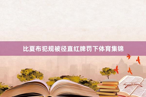 比夏布犯规被径直红牌罚下体育集锦