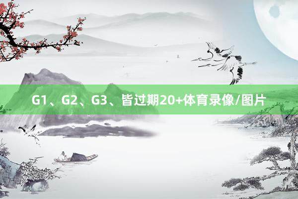 G1、G2、G3、皆过期20+体育录像/图片