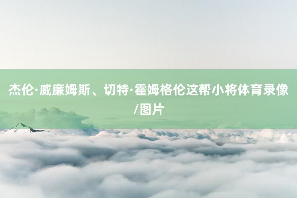 杰伦·威廉姆斯、切特·霍姆格伦这帮小将体育录像/图片