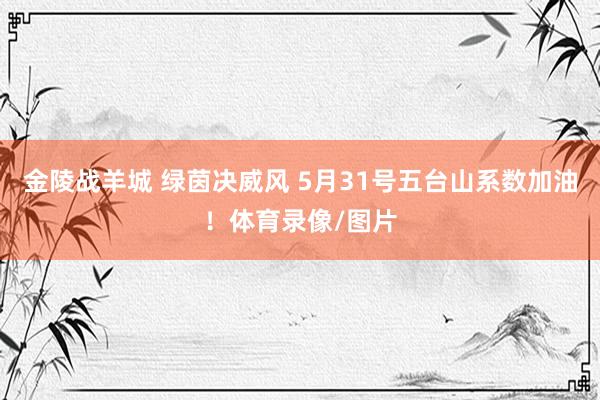 金陵战羊城 绿茵决威风 5月31号五台山系数加油！体育录像/图片