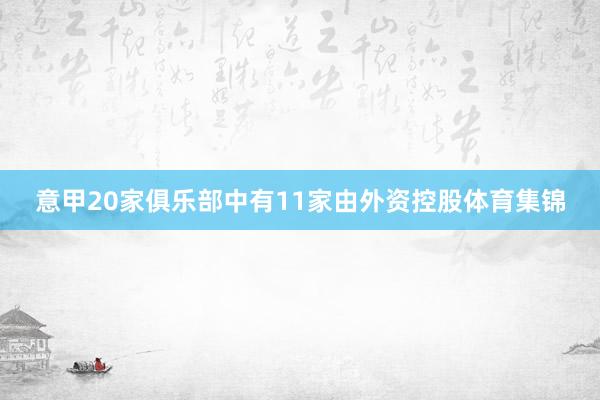意甲20家俱乐部中有11家由外资控股体育集锦