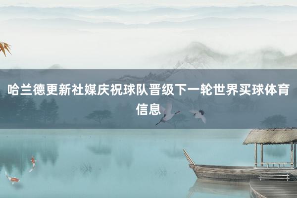 哈兰德更新社媒庆祝球队晋级下一轮世界买球体育信息