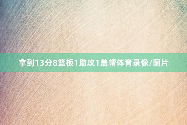 拿到13分8篮板1助攻1盖帽体育录像/图片
