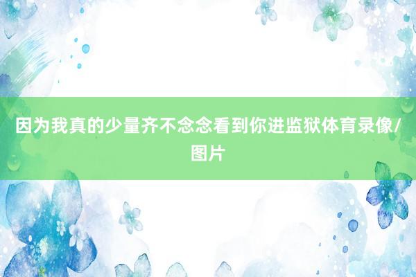 因为我真的少量齐不念念看到你进监狱体育录像/图片