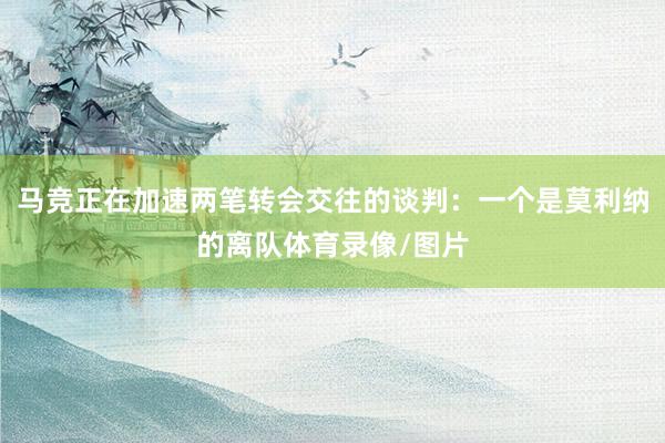 马竞正在加速两笔转会交往的谈判：一个是莫利纳的离队体育录像/图片