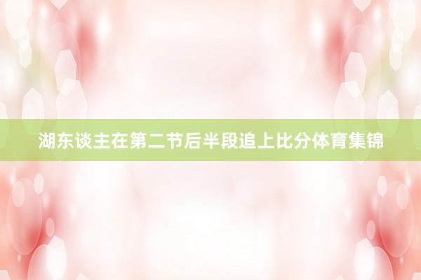 湖东谈主在第二节后半段追上比分体育集锦