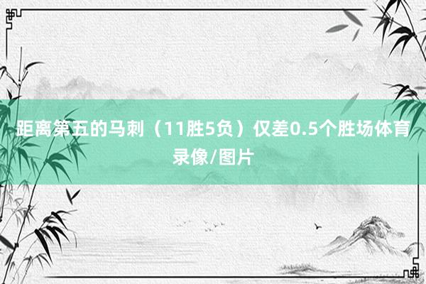 距离第五的马刺（11胜5负）仅差0.5个胜场体育录像/图片