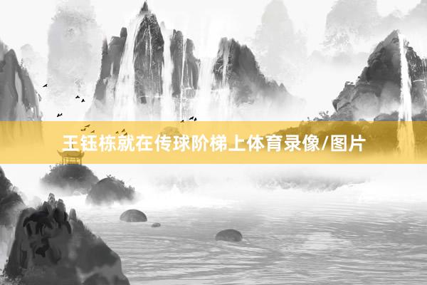 王钰栋就在传球阶梯上体育录像/图片