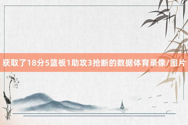 获取了18分5篮板1助攻3抢断的数据体育录像/图片