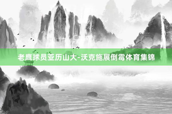 老鹰球员亚历山大-沃克施展倒霉体育集锦