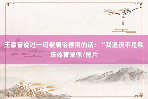 王濛曾说过一句被庸俗援用的话：“我退役不是欺压体育录像/图片