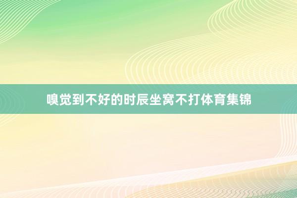 嗅觉到不好的时辰坐窝不打体育集锦