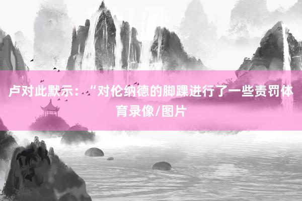 卢对此默示：“对伦纳德的脚踝进行了一些责罚体育录像/图片