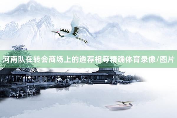 河南队在转会商场上的遴荐相等精确体育录像/图片