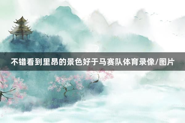 不错看到里昂的景色好于马赛队体育录像/图片