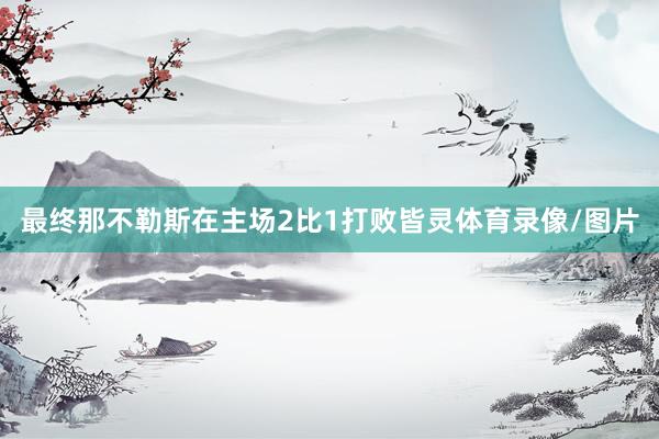 最终那不勒斯在主场2比1打败皆灵体育录像/图片