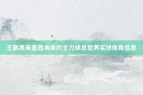 王鹏原来是西海岸的主力球员世界买球体育信息