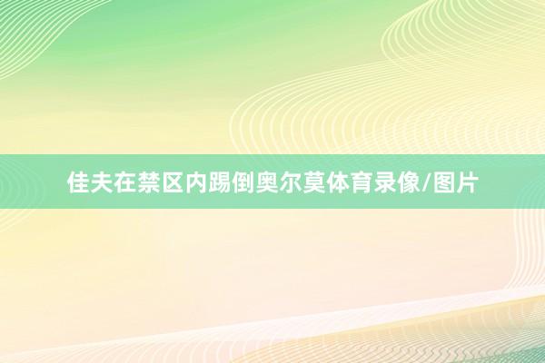 佳夫在禁区内踢倒奥尔莫体育录像/图片