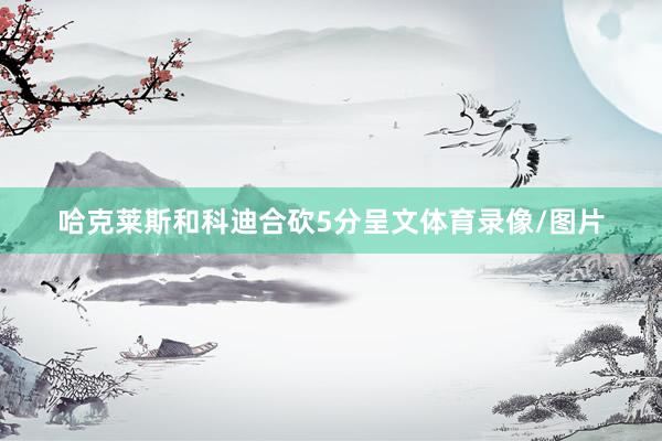 哈克莱斯和科迪合砍5分呈文体育录像/图片