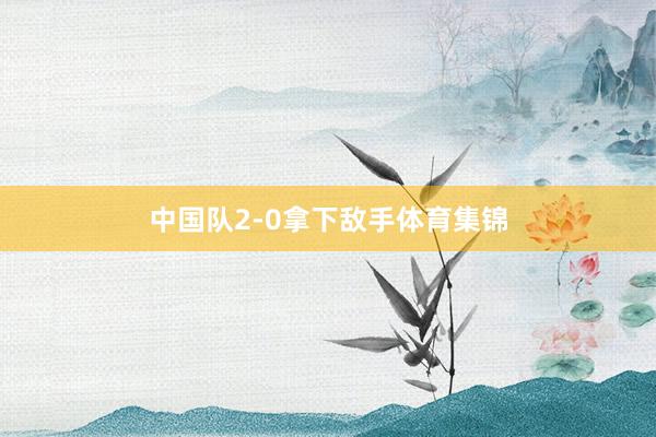 中国队2-0拿下敌手体育集锦