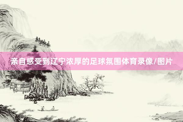 亲自感受到辽宁浓厚的足球氛围体育录像/图片