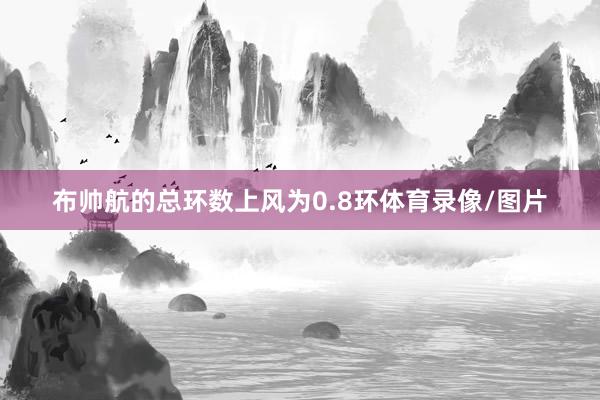 布帅航的总环数上风为0.8环体育录像/图片