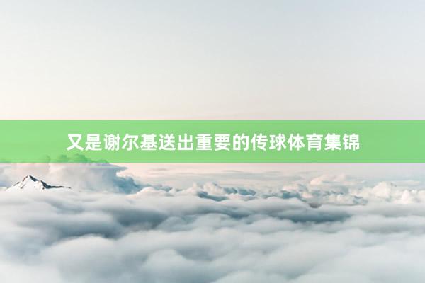 又是谢尔基送出重要的传球体育集锦