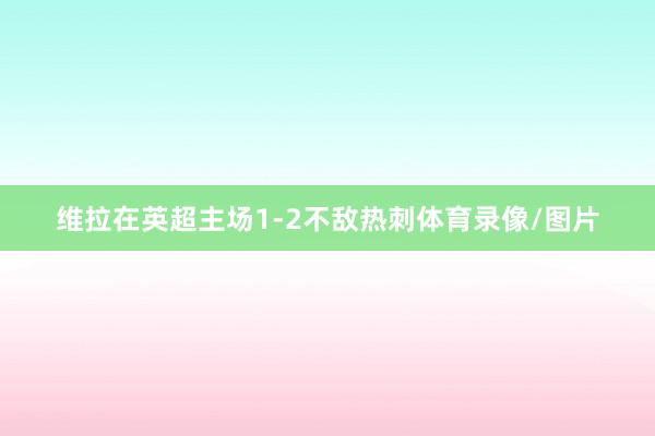 维拉在英超主场1-2不敌热刺体育录像/图片