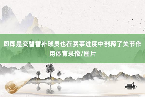 即即是交替替补球员也在赛事进度中剖释了关节作用体育录像/图片