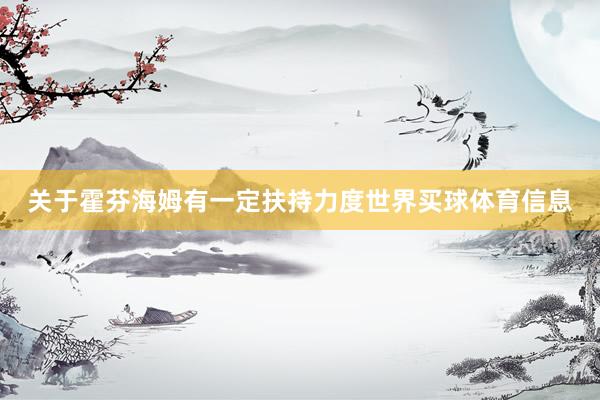 关于霍芬海姆有一定扶持力度世界买球体育信息