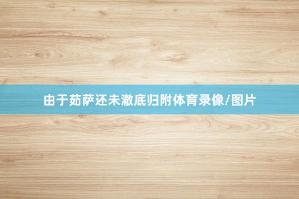 由于茹萨还未澈底归附体育录像/图片