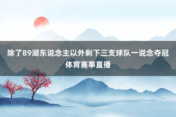 除了89湖东说念主以外剩下三支球队一说念夺冠体育赛事直播