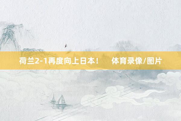 荷兰2-1再度向上日本！    体育录像/图片