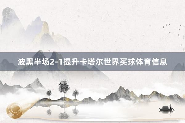 波黑半场2-1提升卡塔尔世界买球体育信息