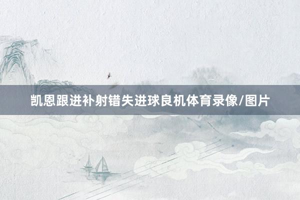 凯恩跟进补射错失进球良机体育录像/图片