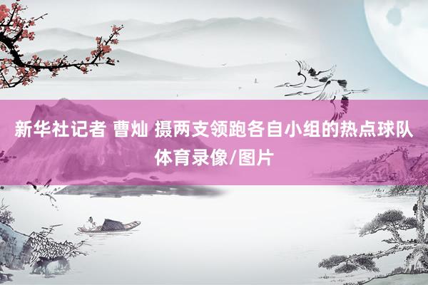 新华社记者 曹灿 摄两支领跑各自小组的热点球队体育录像/图片
